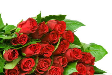 Similar image 537427