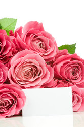 Similar image 537428