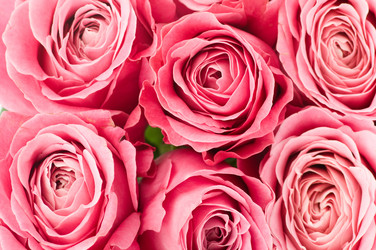 Similar image 537430