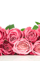 Similar image 537431