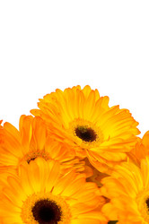 Similar image 537439