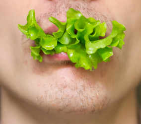 Similar image 537462