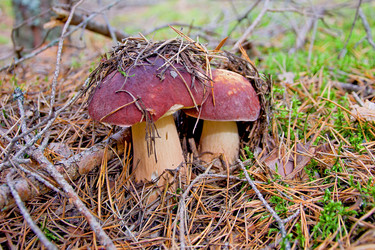 Similar image 537467