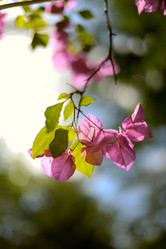 Similar image 537482