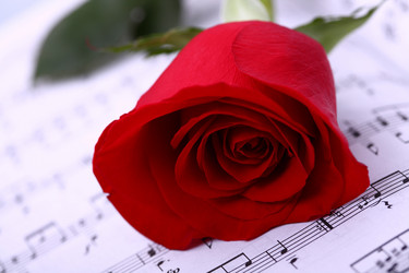 Similar image 537553