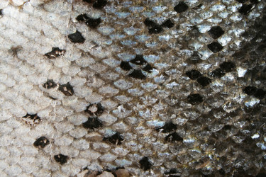 Similar image 537558