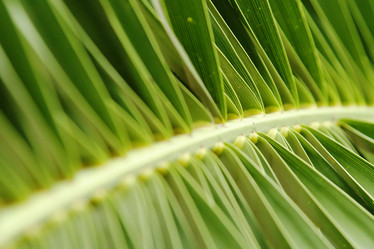 Similar image 537559