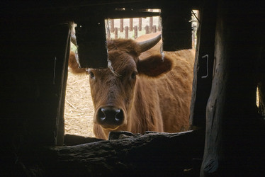 Similar image 537708