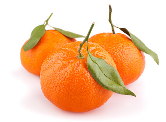 Similar image 537727