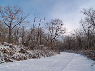 Similar image 537771