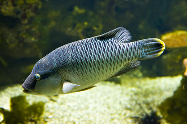 Similar image 537780