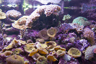 Similar image 537785