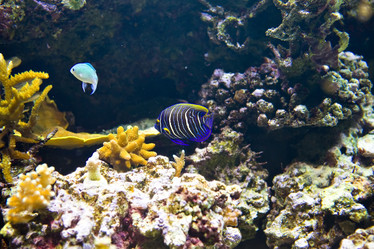 Similar image 537786