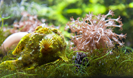 Similar image 537789