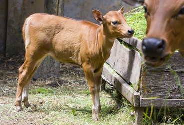 Similar image 537811