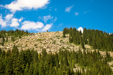 Similar image 537842