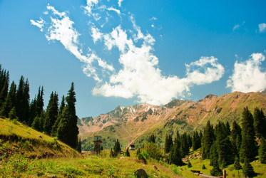 Similar image 537843