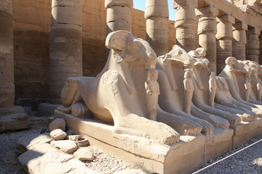 Similar image 537845