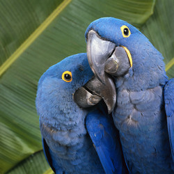 Similar image 537849