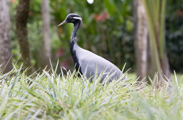 Similar image 537851