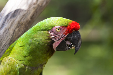 Similar image 537853