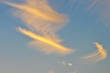 Similar image 537855