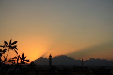 Similar image 537858