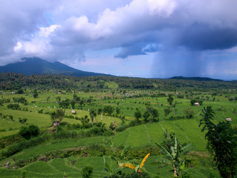 Similar image 537865