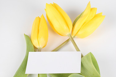 Similar image 537887