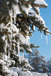 Similar image 537896