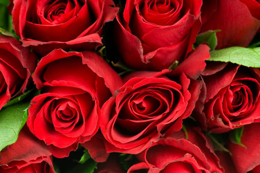 Similar image 537901