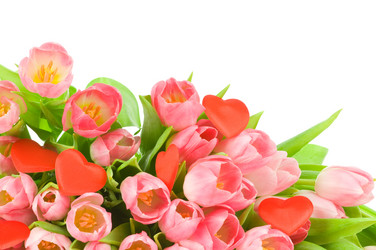 Similar image 537938