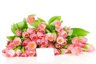 Similar image 537982