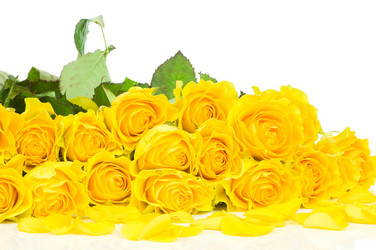 Similar image 537988