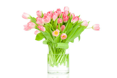 Similar image 537989