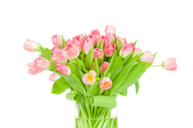 Similar image 537997