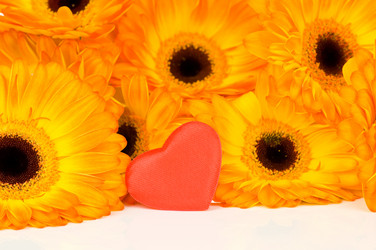 Similar image 538001