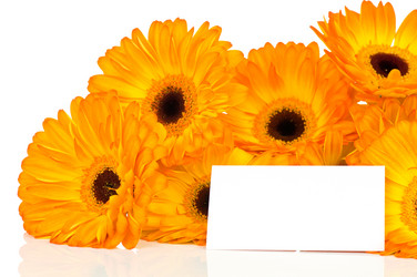 Similar image 538004