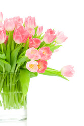 Similar image 538016