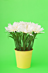 Similar image 538045