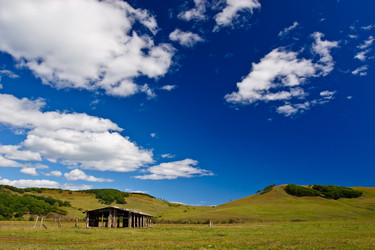 Similar image 538166