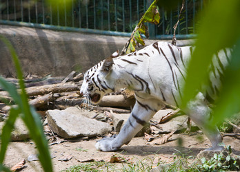 Similar image 538499