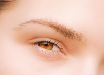 Similar image 538711