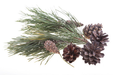 Similar image 538878