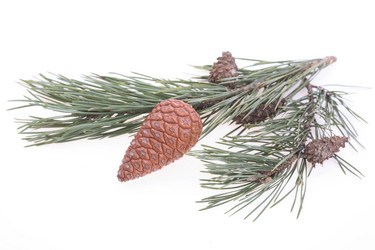 Similar image 538879