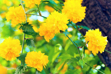 Similar image 538924