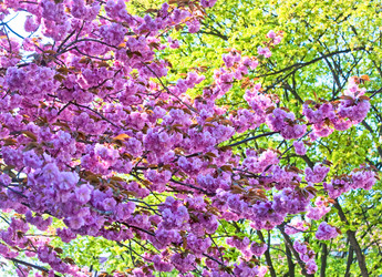 Similar image 538927