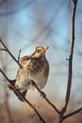 Similar image 539203