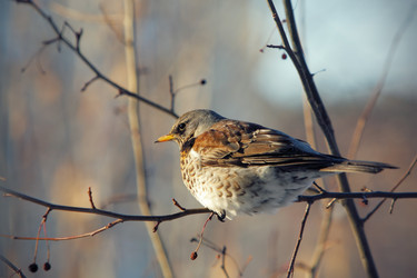 Similar image 539211