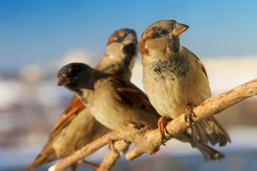 Similar image 539215